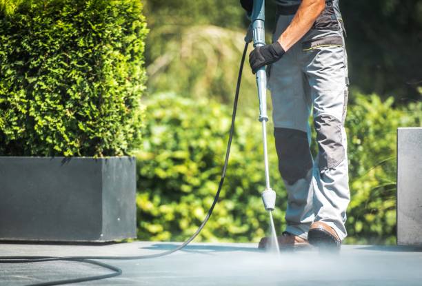 Best Paint Preparation  in Barrington, IL